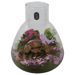 Kal.Arr PTIG2636 T22 H028