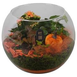 Kal.Arr PTHG8216 Herbst T19 H018