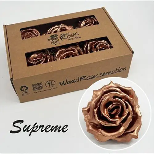 Seiden Wachs Rose Supreme kupfer