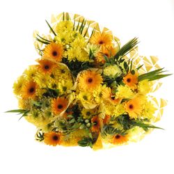 Strauß gelb Promo 60cm 12 Stiele