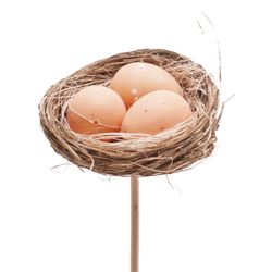 Nest+ei/stab Natur D06cm H50cm