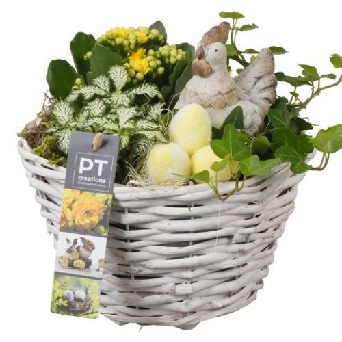 Kal.Arr PTPB6561 Ostern T18 H020