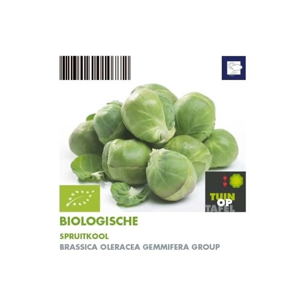 Bio Rosenkohl H5 (9x6 pfl.)