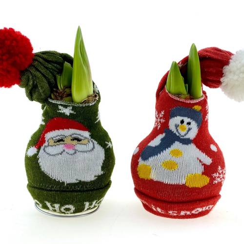 Amar.Bol Wachs mix Weihnachtsmütze rote Bl. 32cm H015