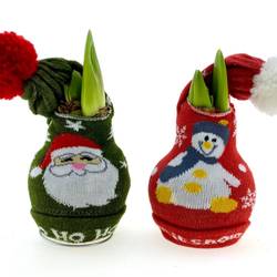 Amar.Bol Wachs mix Weihnachtsmütze rote Bl. 32cm H015