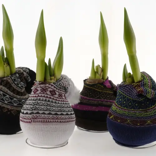 Amar.Bol Wachs mix Weihnachtsmütze rote Bl. 32cm H015