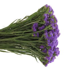 Statice blau 30 Gramm 60cm