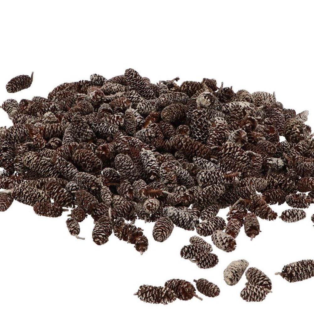 Trocken Birke Kiefer Whitewashed 500gr