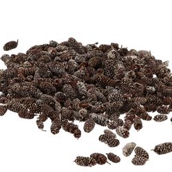 Trocken Birke Kiefer Whitewashed 500gr