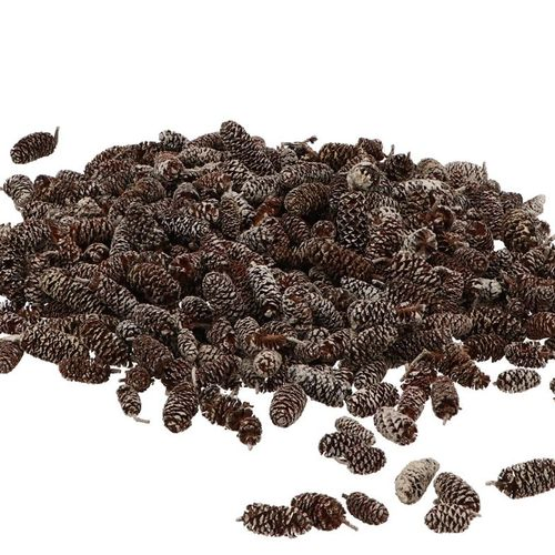 Trocken Birke Kiefer Whitewashed 500gr