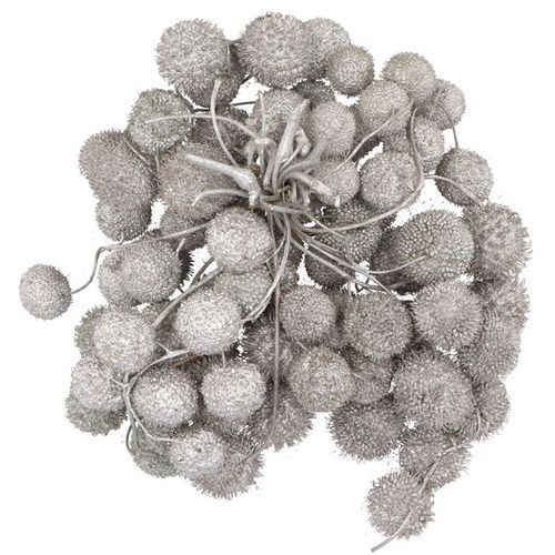 Seiden dry platane silber glitzer pro bündel