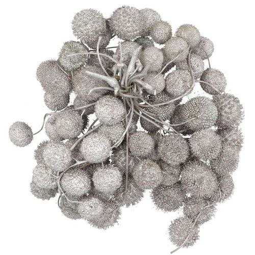 Seiden dry platane silber glitzer pro bündel
