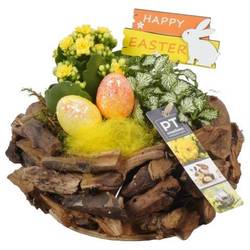 Ostern Arr PTPB3709 T21 H018