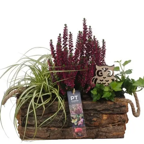 Garten.Arr PTHO4229 Herbst T25 H028