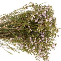 Wachsflower hell rosa Queen 70 Gramm 60cm