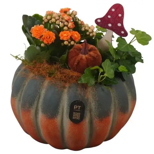 Kal.Arr PTHI3258 Herbst T17 H019