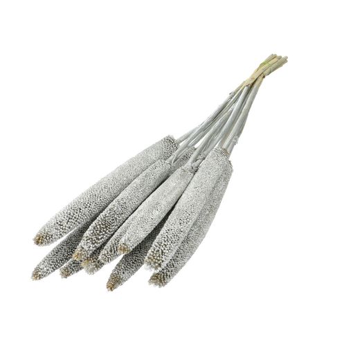 Trocken Bapala silber L65cm x10