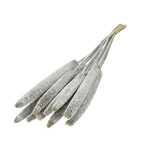 Trocken Bapala silber L65cm x10