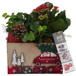 Kal.Arr PTCHR7400 Weihnachten T15 H022