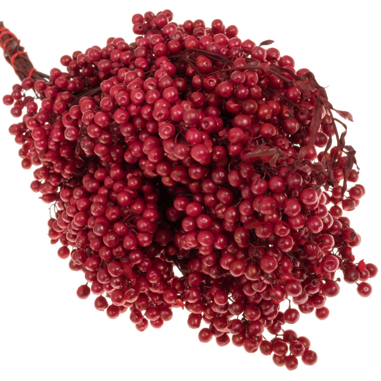 Pfeffer Berry rot Carnation gefärbt 160 Gramm