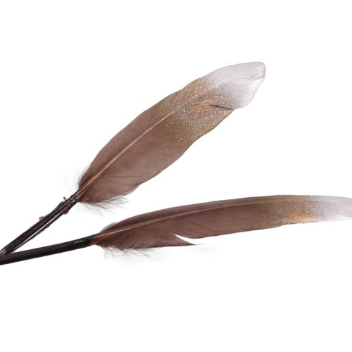 Federn Gans braun 13cm X24