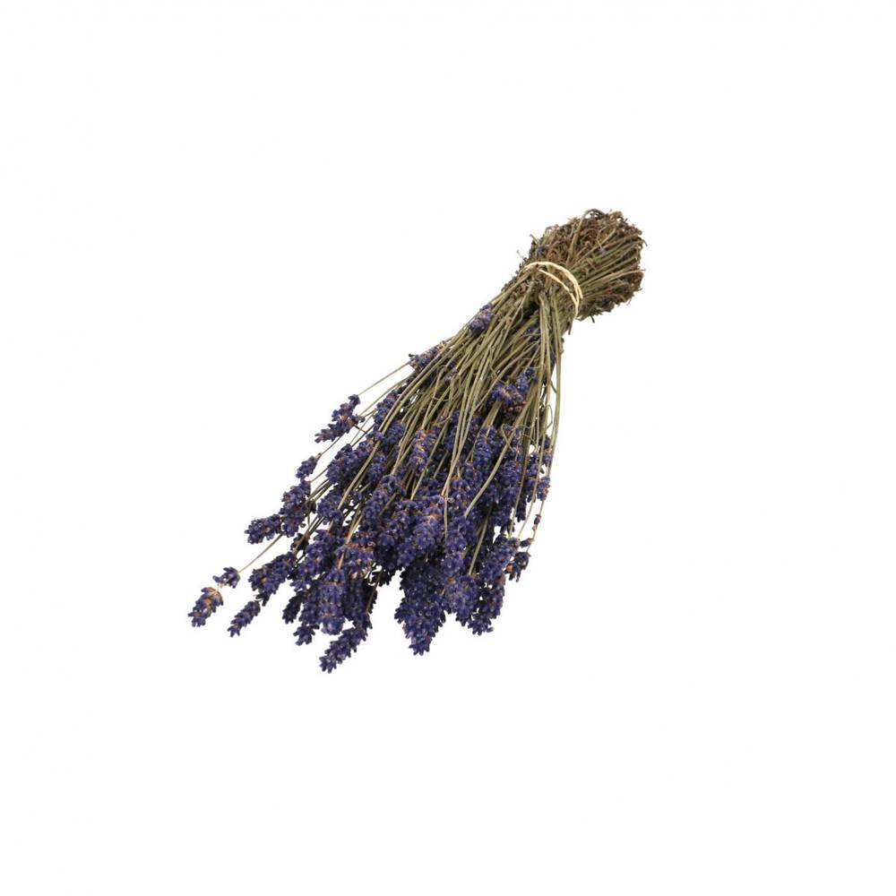Trocken Lavendel L30cm 55gr