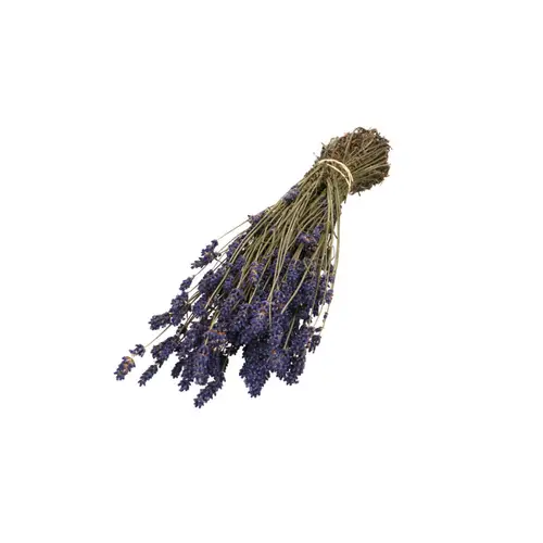 Trocken Lavendel L30cm 55gr