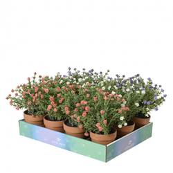 Seiden Pflanzen Blumen in Übertopf mix D07cm H21cm