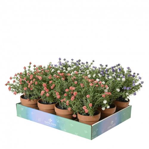 Seiden Pflanzen Blumen in Übertopf mix D07cm H21cm