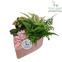 Kal.Arr Herz rosa VE028PINK T22 H023