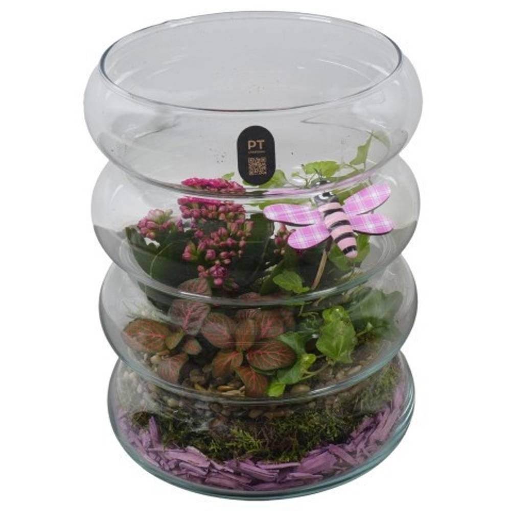 Kal.Arr PTIG2673 T18 H024