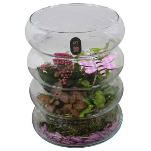 Kal.Arr PTIG2673 T18 H024