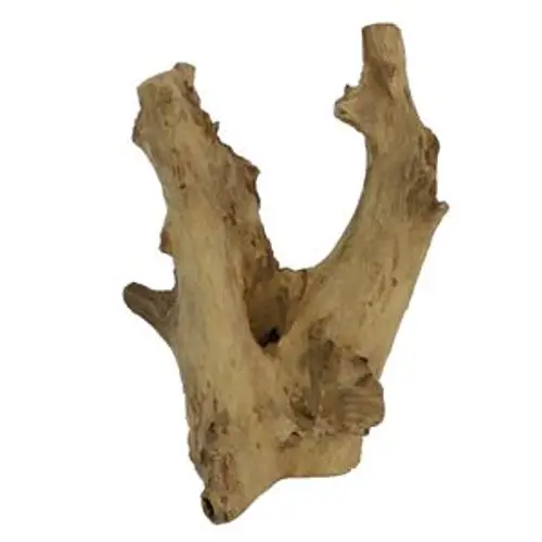 Teakholz Zweig Membatu natur D30cm H60cm 