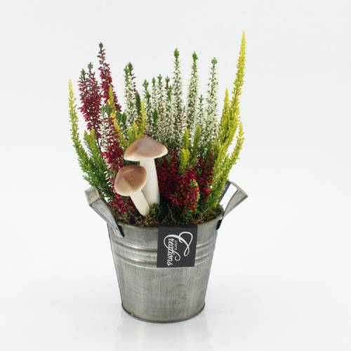 Garten.Arr-2526 Herbst T14 H030