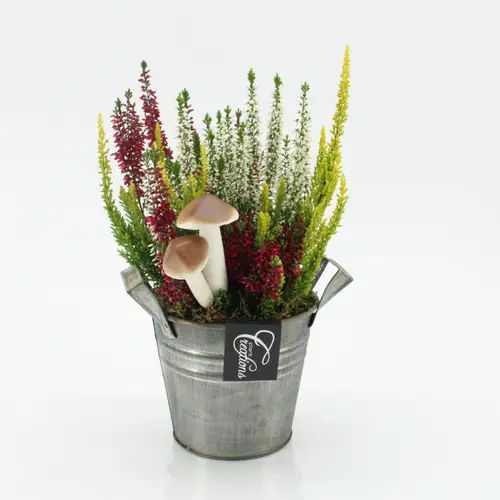 Garten.Arr-2526 Herbst T14 H030