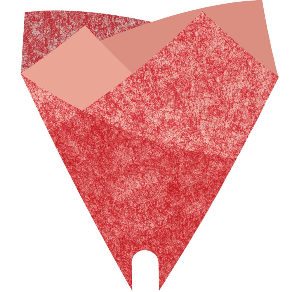 Tüte Louise rot 50x44cm x50 