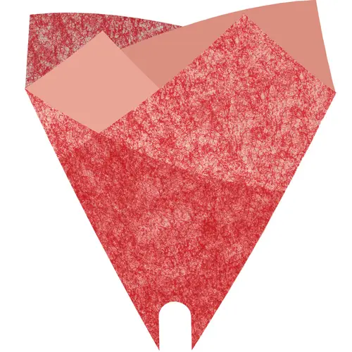 Tüte Louise rot 50x44cm x50 
