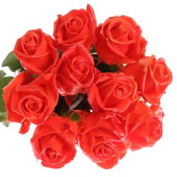 Rose orange/rot Wachs (W30) 60cm