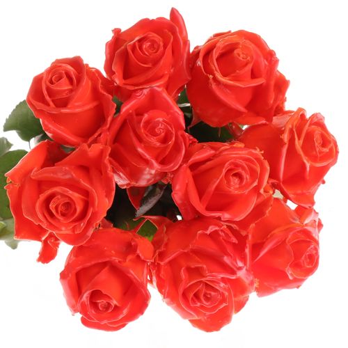 Rose orange/rot Wachs (W30) 60cm