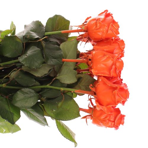 Rose orange/rot Wachs (W30) 60cm