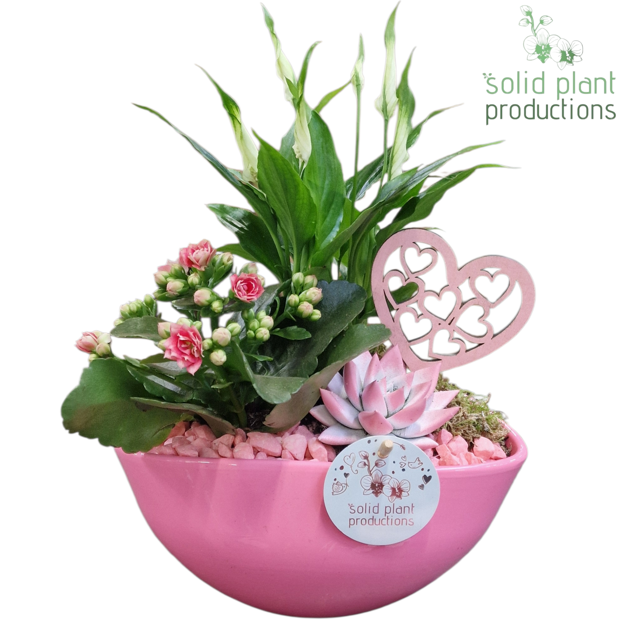 Spath.Arr SE005 PV Evelyn Muttertag T22 H035