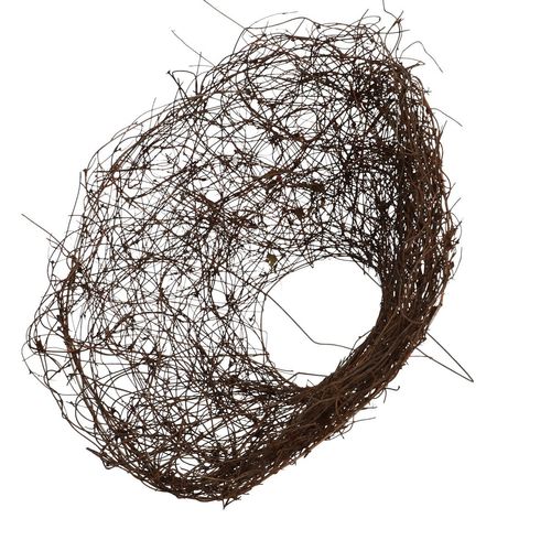 Strausshalter Mühlenbeckia D30cm