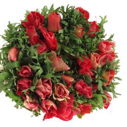 Anemone rot Ex Italien 40cm