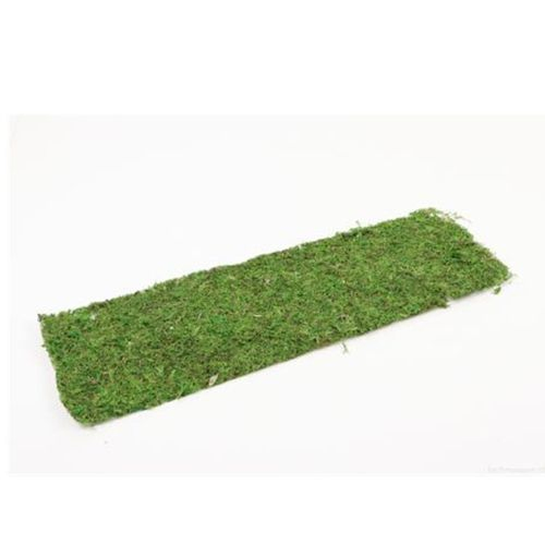 Trocken Plattenmoos flach 58x12cm