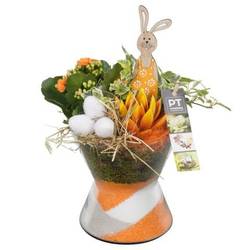 Ostern Arr PTPA8807 T15 H023