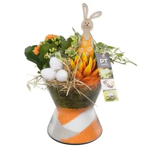 Ostern Arr PTPA8807 T15 H023