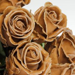 Rose braun Wachs Caramel (W26) 70cm