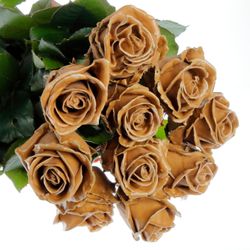 Rose braun Wachs Caramel (W26) 70cm