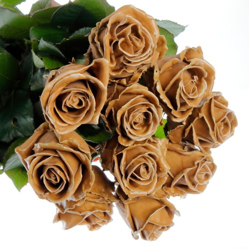 Rose braun Wachs Caramel (W26) 70cm