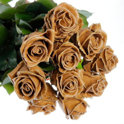 Rose braun Wachs Caramel (W26) 70cm